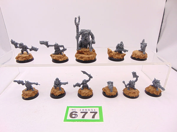 Gretchin & Runtherd