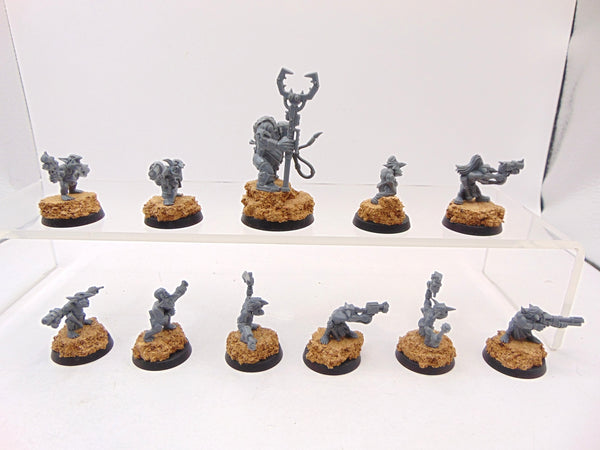 Gretchin & Runtherd