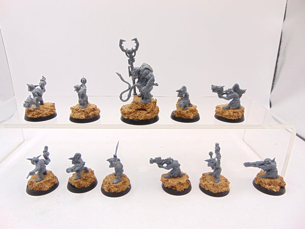 Gretchin & Runtherd