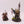 Swampcalla Shaman & Pot Grot
