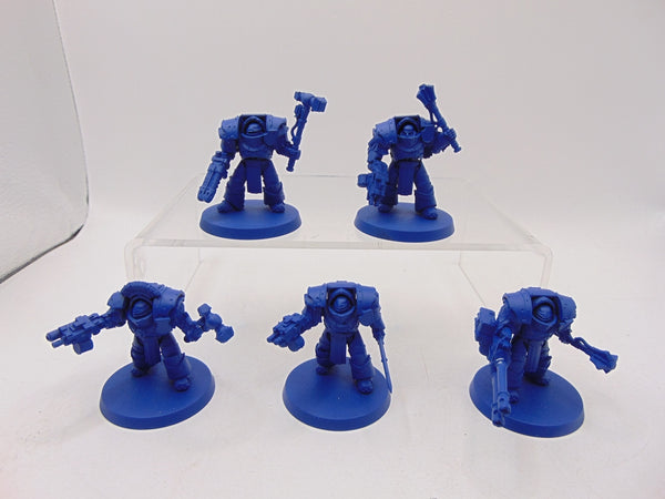 Cataphractii Terminator Squad