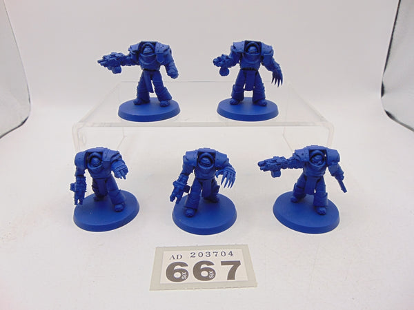 Cataphractii Terminator Squad