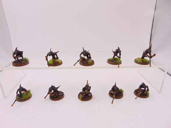 Skinks