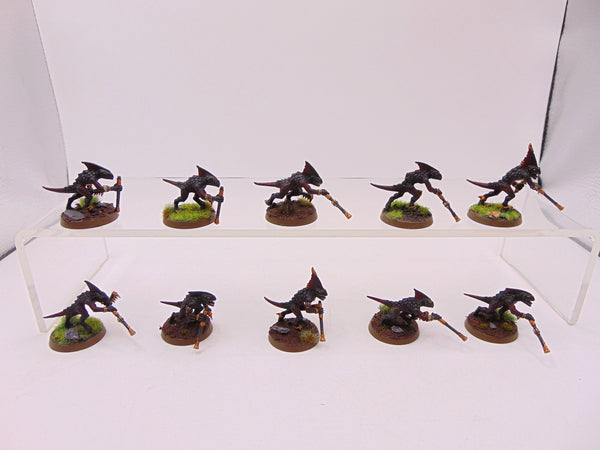 Skinks