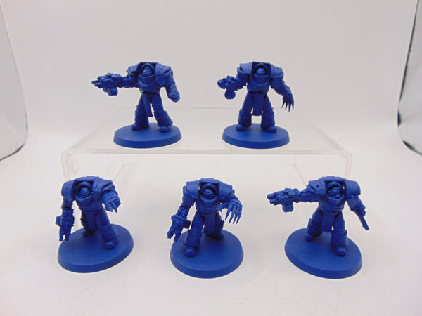 Cataphractii Terminator Squad