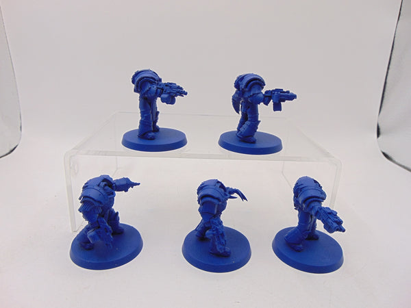 Cataphractii Terminator Squad