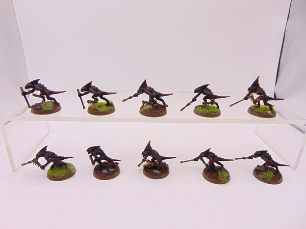 Skinks