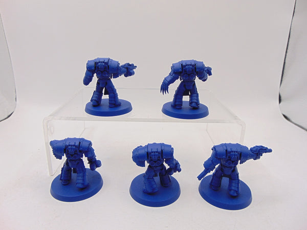 Cataphractii Terminator Squad