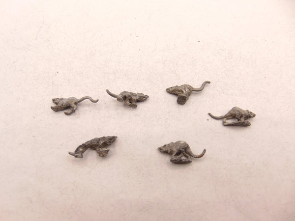 Giant Rats