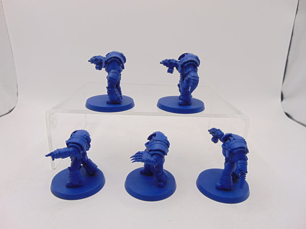 Cataphractii Terminator Squad