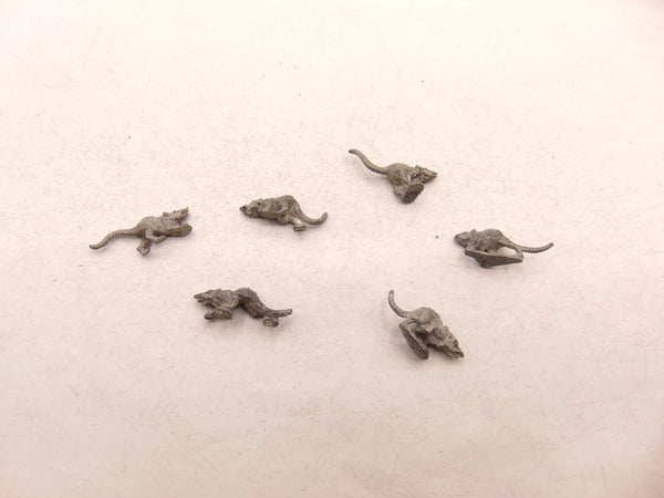 Giant Rats