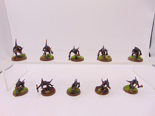 Skinks