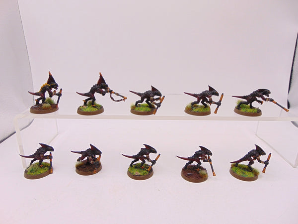 Skinks