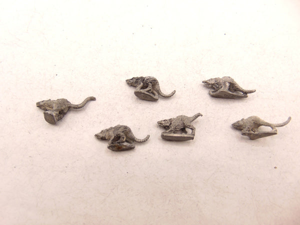 Giant Rats