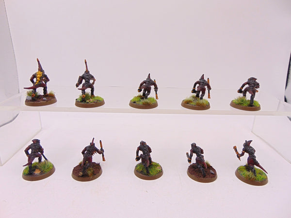 Skinks