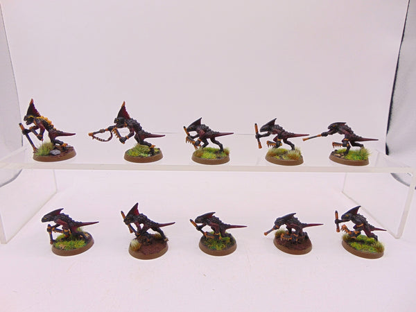 Skinks