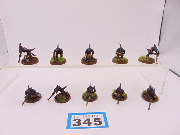 Skinks