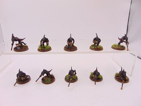 Skinks