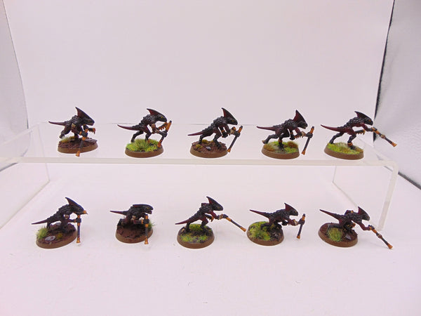 Skinks