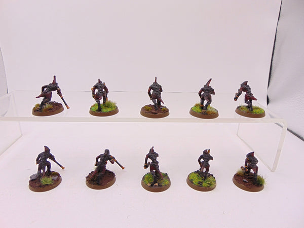 Skinks