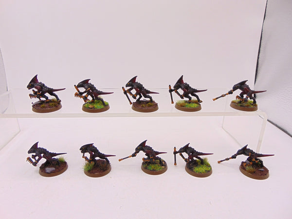 Skinks