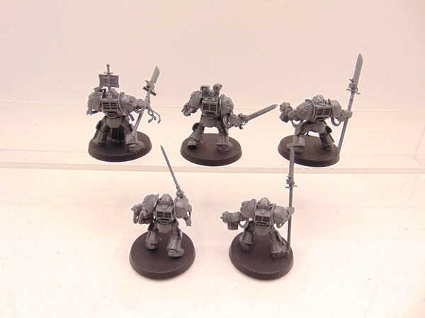 Brotherhood Terminator Squad