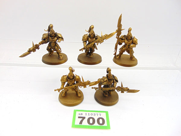 Custodian Guard Squad
