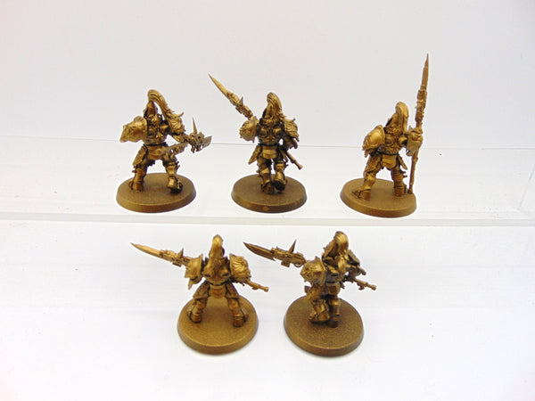 Custodian Guard Squad