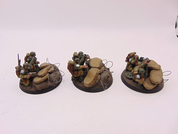 Cadian Heavy Weapon Squad