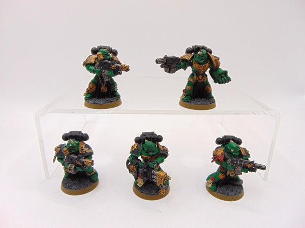 Sternguard Veterans