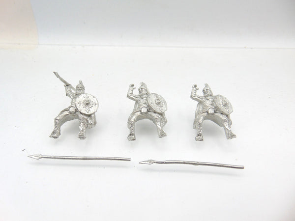 Rohan Royal Knights / Guard