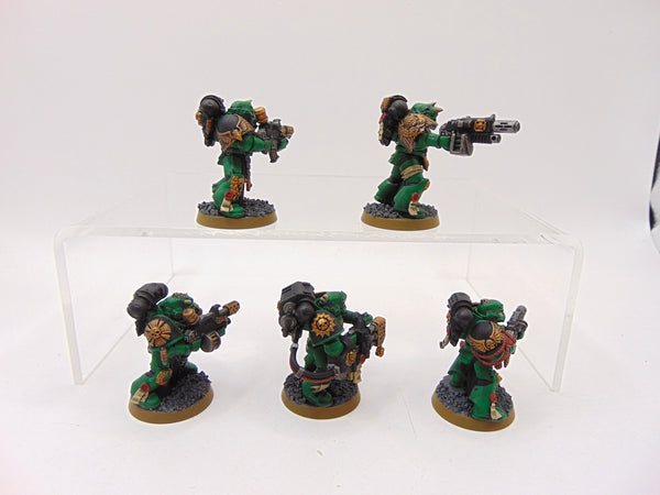 Sternguard Veterans