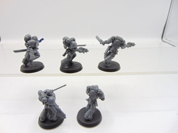 Assault Intercessors