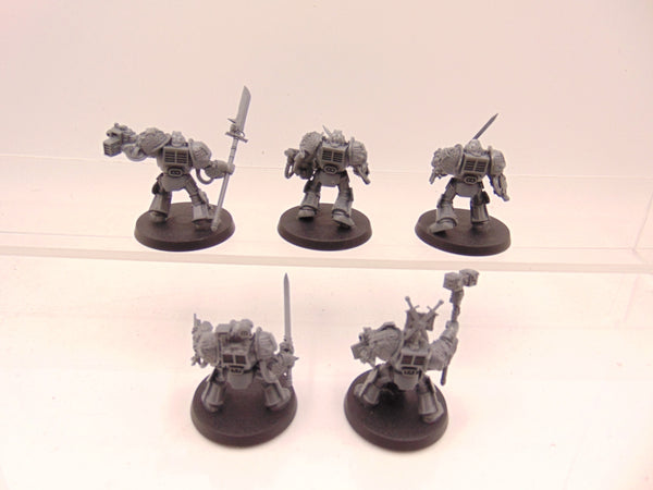 Brotherhood Terminator Squad