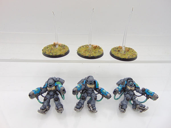 Inceptors