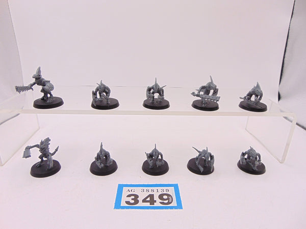 Skinks