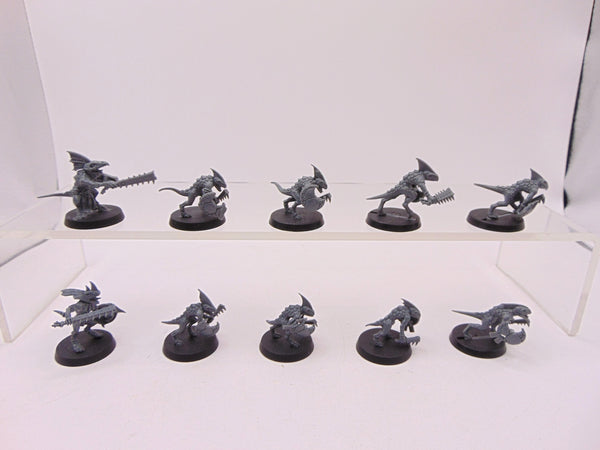 Skinks