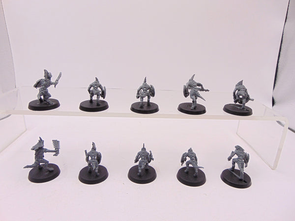Skinks