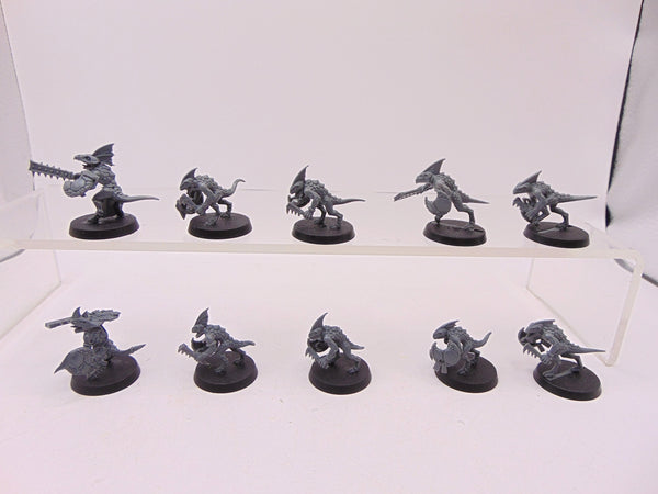 Skinks