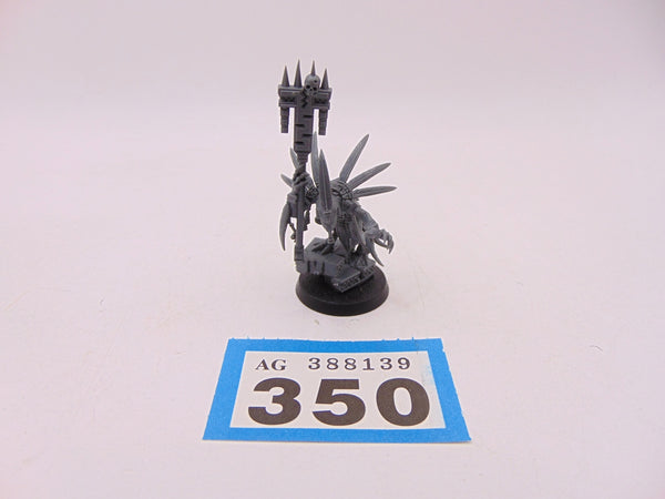 Skink Starpriest