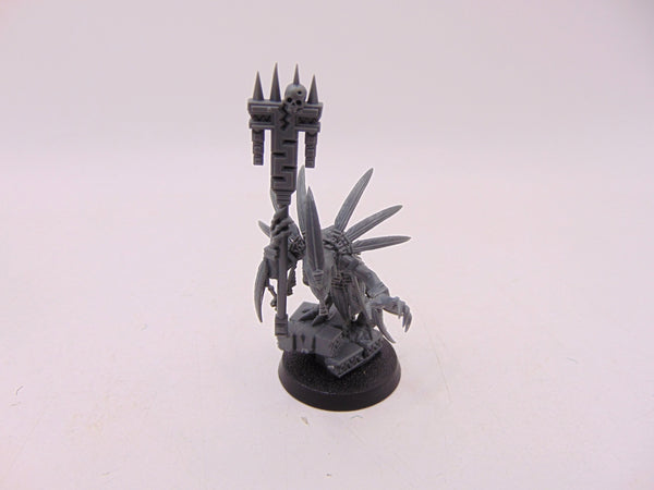 Skink Starpriest