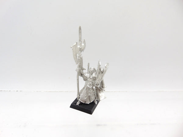 Caradryan Captain of the Phoenix Guard