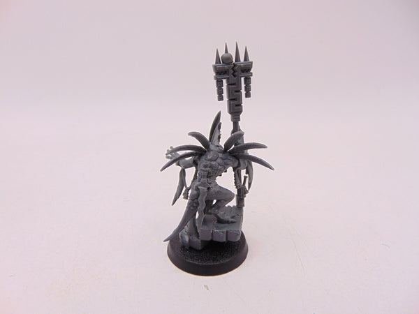 Skink Starpriest