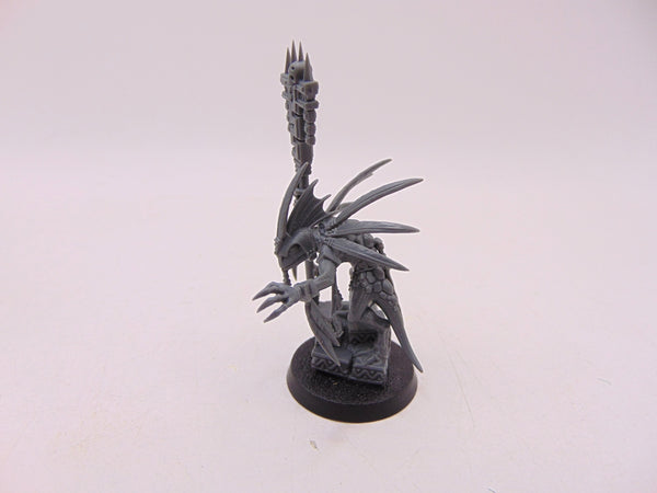 Skink Starpriest