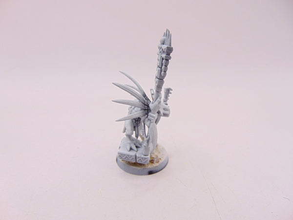 Skink Starpriest