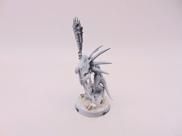 Skink Starpriest
