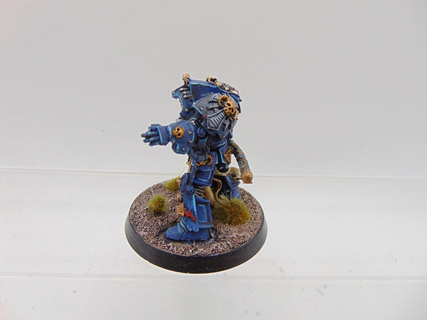 Terminator Librarian