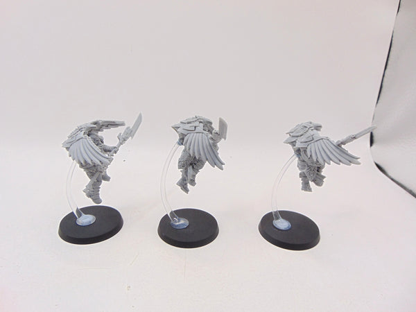 Custodian Venatari