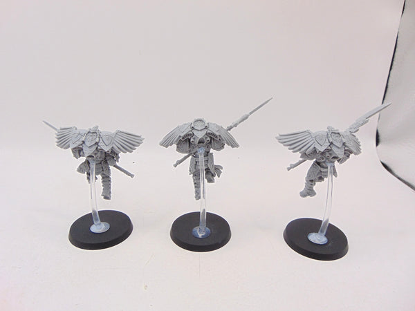 Custodian Venatari