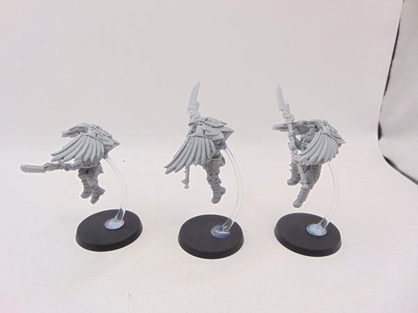 Custodian Venatari